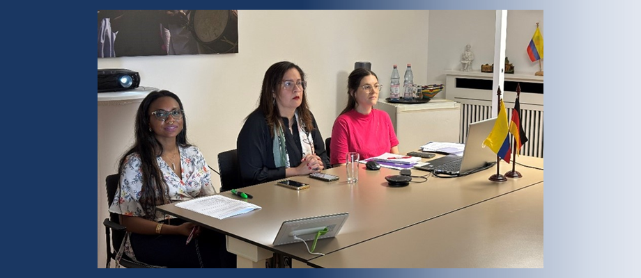 Reunión virtual sobre proceso de convalidación de títulos en Colombia para la diáspora en Alemania