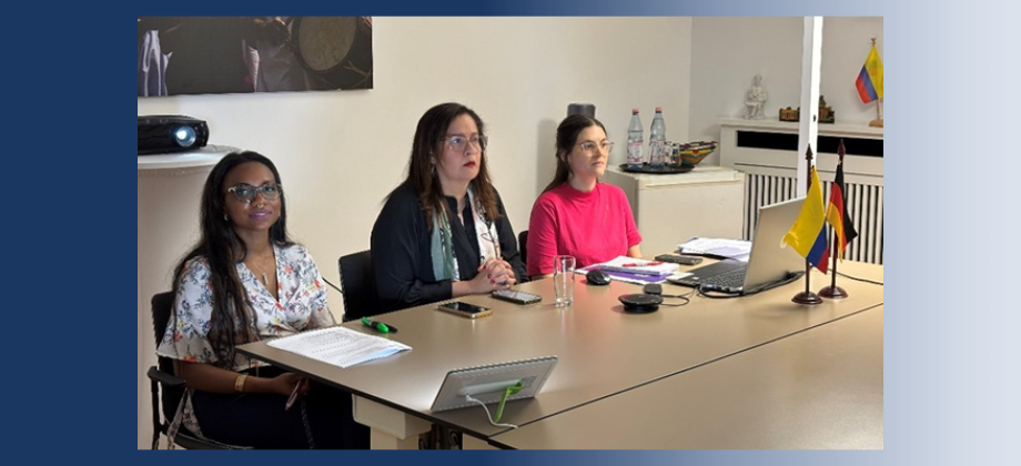 Reunión virtual sobre proceso de convalidación de títulos en Colombia para la diáspora en Alemania