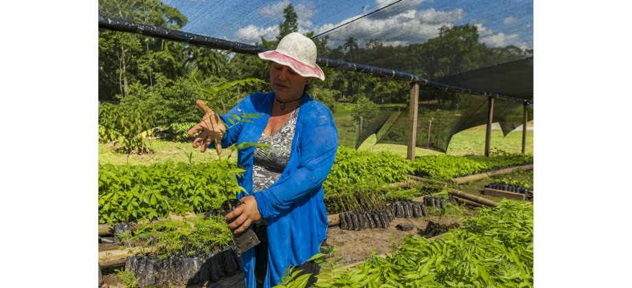 Colombia, presente en la Semana de la Amazonía en Berlín